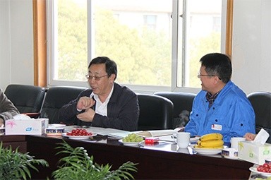 2013年3月18日，时任国家工信部节能司副司长杨铁生一行莅临公司参观指导