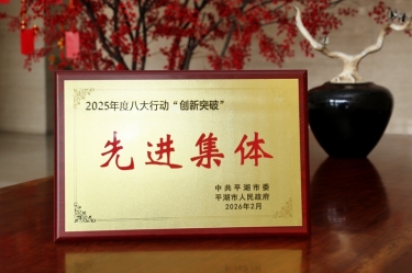 策马扬鞭启新程！8868体育手机版登录入口在平湖市三级干部大会上荣获“创新突破”双项荣誉